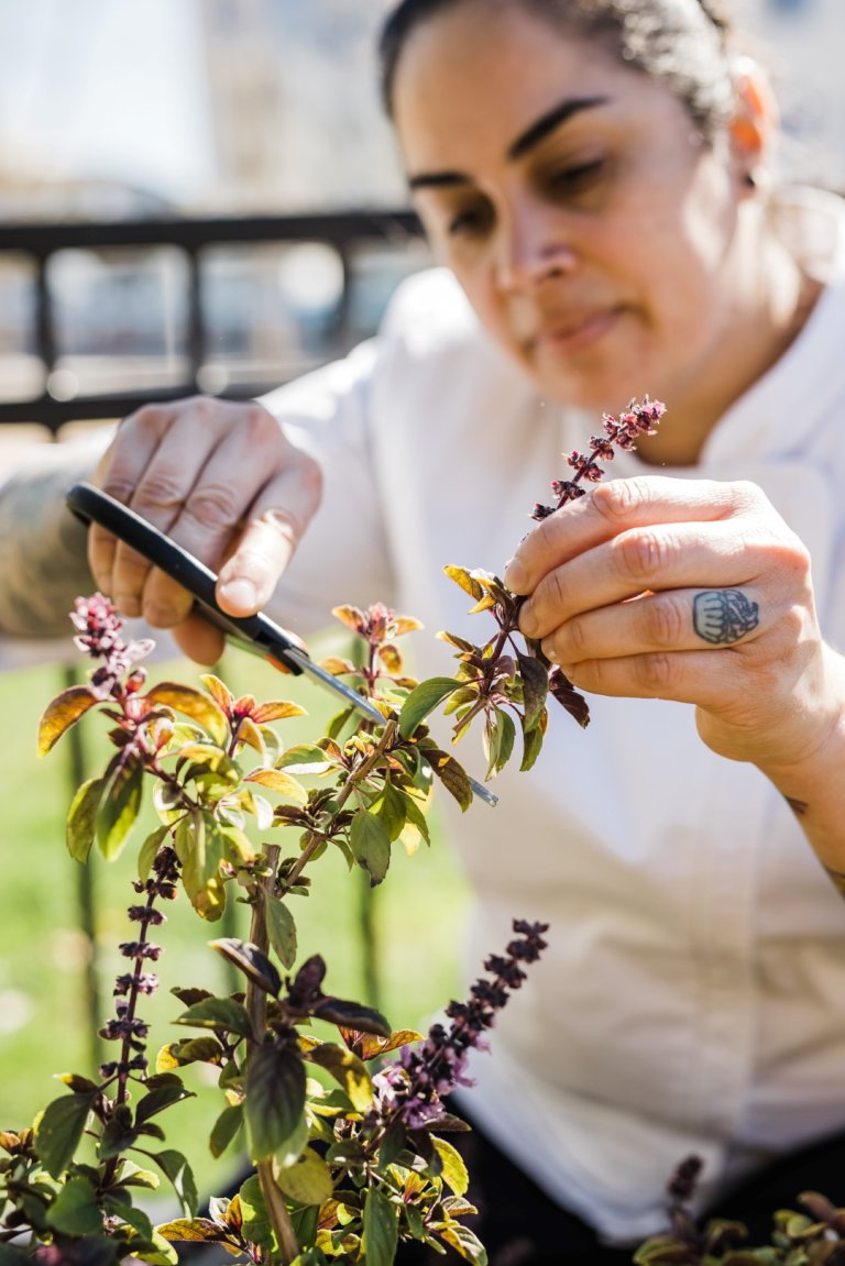 a woman is trimming a plant with scissors.