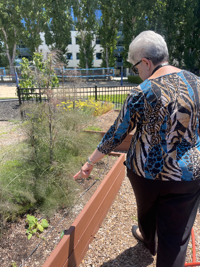 an older woman tending to a garden in a park.