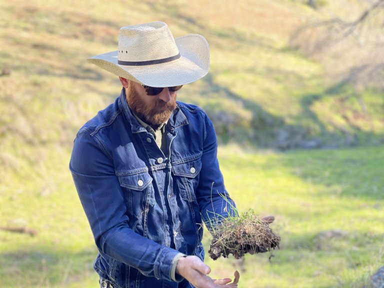 A man in a cowboy hat holding a plant in a field.
